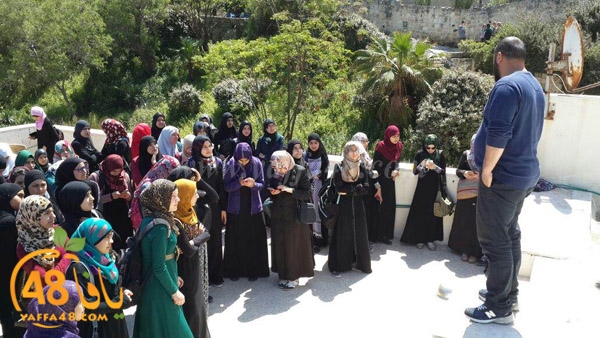 nesa2 wafed ej (8).JPG